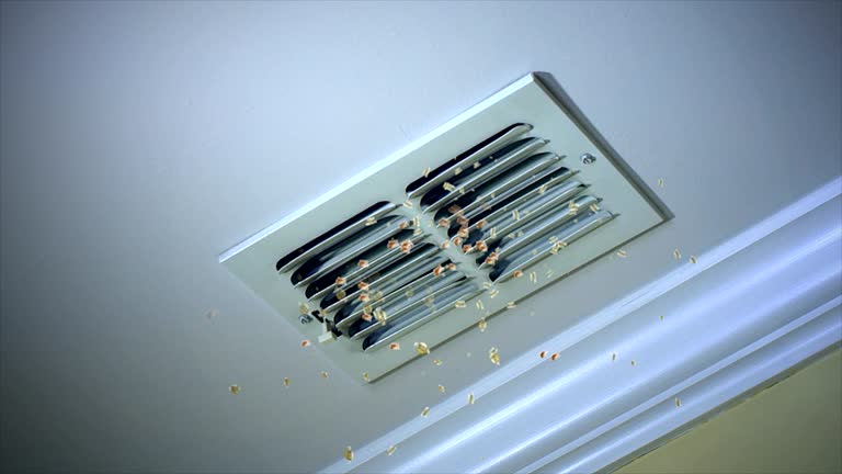 Best Air Duct Sanitizing Services  in Huber Ridge, OH