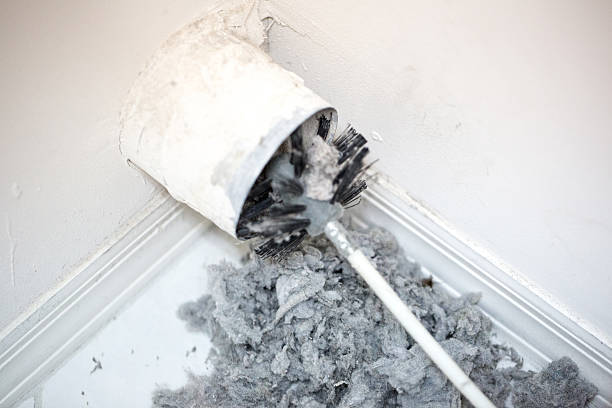 Best Dryer Vent Cleaning Services  in Huber Ridge, OH